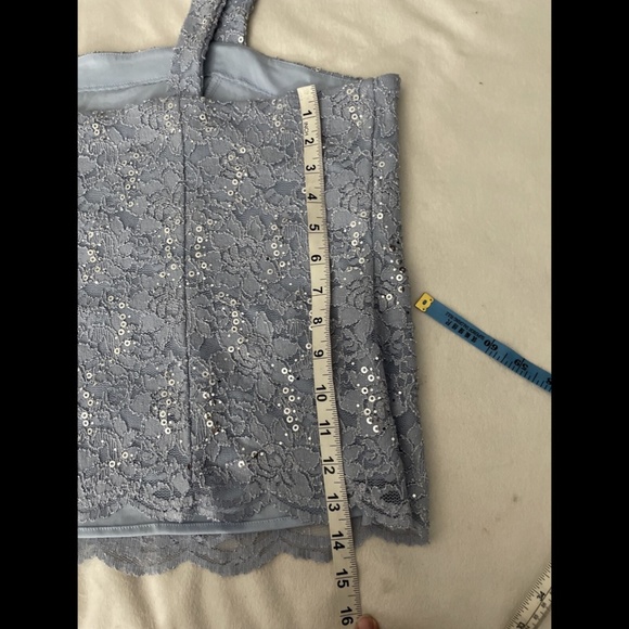 NWT ALEX EVENINGS Lace‎ Sleeveless Square Neck Top Top in Hydrangea [SZ 2X ] - Picture 14 of 14